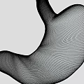 Game And Movie Stomach Character 3D Model With Realistic Anatomical Design Details