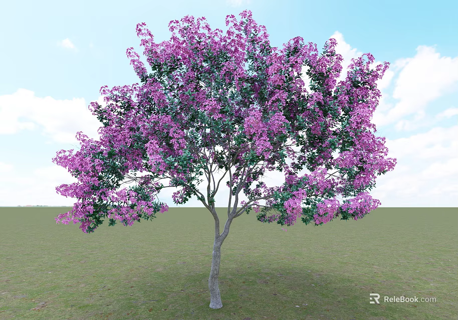 Beautiful Arbor With Purple Flowers Against Blue Sky And Green Grass 3d model 