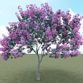 Beautiful Arbor With Purple Flowers Against Blue Sky And Green Grass