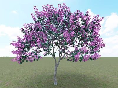 Beautiful Arbor With Purple Flowers Against Blue Sky And Green Grass 3d model
