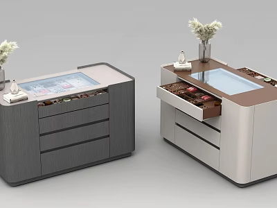 Modern Walk in Closet With Drawer Storage Cabinets Glass Countertop And Vase Decoration 3d model