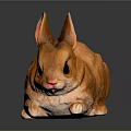 Small Orange Rabbit Figurine With Big Ears Black Eyes And Shiny Surface On Dark Background