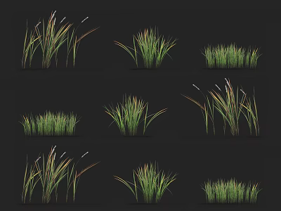 Green Grass Plants In Various Forms And Multiple Clusters On Black Background 3d model