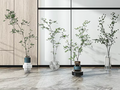 Green Plants in Transparent Glass Vases for Modern Interior with Wooden Wall and Marble Floor 3d model
