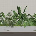 Potted Plants in White Rectangular Planter with Various Tropical Green Leaves 3d model
