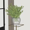 Decorative Glass Vase With Fresh Green Foliage On Metal Table By Window