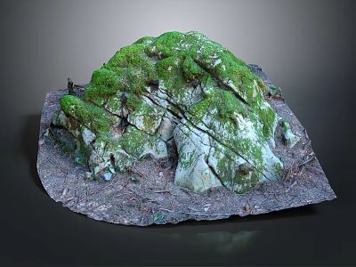 Wood Stone Decorative Rock With Moss Covered Top And Natural Wood Base 3d model