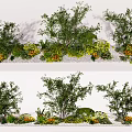 Outdoor Flower and Plant Landscape Design with Green Shrubs Colorful Blooms and Natural Greenery