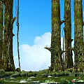 Tall Moss Covered Arborescent Trees With Hanging Vines Blue Sky And Water Lilies