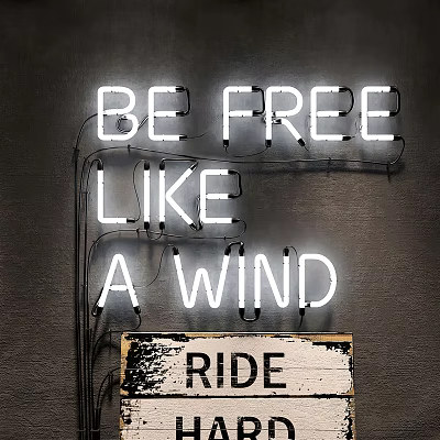 Neon Decorative Lights on Dark Wall with Be Free Like A Wind and Ride Text 3d model