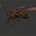 Detailed 3D Wasp Model With Yellow Black Stripes Red Eyes And Transparent Wings