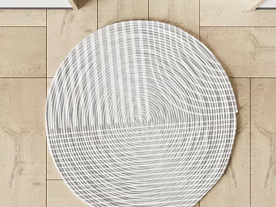 Modern Minimalist Round Rug With Striped Concentric Circles On Wooden Floor 3d model