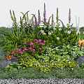 Vibrant Garden Flowers And Plants With Purple Pink Blooms Green Grass Stones And Butterfly