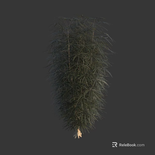 Lush Green Shrub with Slender Leaves and Dense Foliage in Natural Form 3d model 