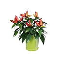 Bonsai Potted Plant With Green Pot Red Yellow Flowers And Green Leaves