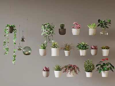 Assorted Potted Plants Featuring Hanging Succulents And Decorative Greenery 3d model