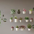 Assorted Potted Plants Featuring Hanging Succulents And Decorative Greenery