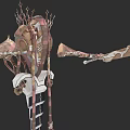 Intricate Fantasy Mechanical Sculpture With Skeletal Elements And Pink Metal Design