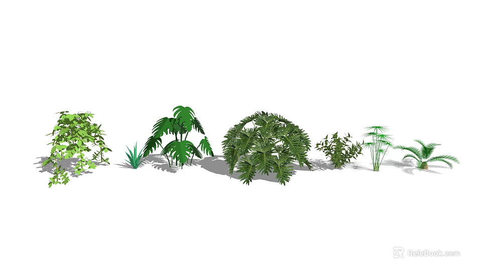 Various Green Decorative Plants With Lush Foliage For Indoor Outdoor Gardens 3d model 