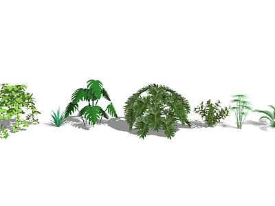 Various Green Decorative Plants With Lush Foliage For Indoor Outdoor Gardens 3d model