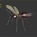 Red Winged Ant 3D Rendering With Transparent Wings And Long Legs On Dark Background 3d model