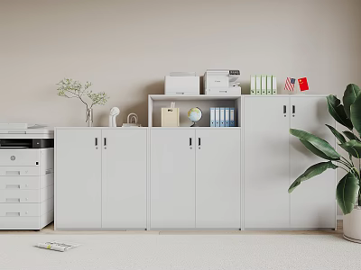 White Office Interior Bookcase With Cabinets Printer Globe Files And Green Plant 3d model