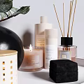 Stylish Bathroom Accessories With White Tray Candles Diffusers Soap And Eucalyptus Plant 3d model