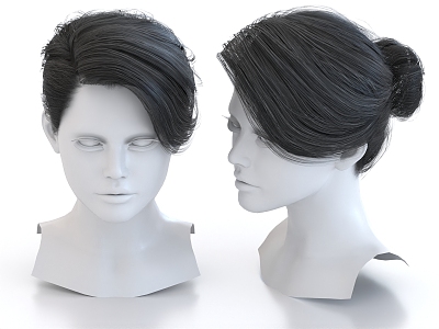 Hairstyle Wig Long Hair 3d model