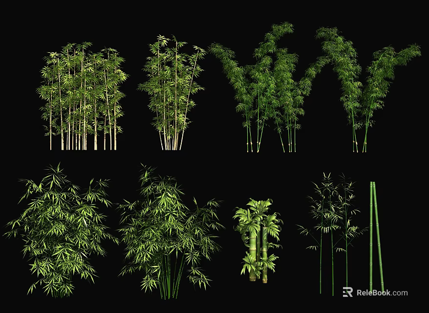 Different Bamboo Varieties With Leafy Stems And Various Growth Forms 3d model 