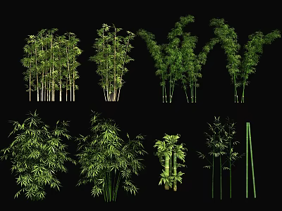 Different Bamboo Varieties With Leafy Stems And Various Growth Forms 3d model