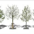 Urban Tree Pits with Various Design Styles Supporting Healthy Green Trees 3d model