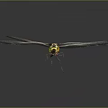 Vibrant Dragonfly With Transparent Wings Yellow Head And Striped Body On Dark Background