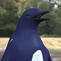 Blue And White Penguin Standing On Green Grassland In Natural Habitat