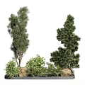 Tall Arbor Trees With Rocks And Small Plants In Garden Landscape