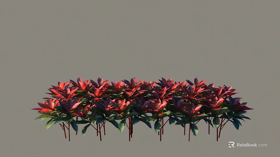 Vibrant Red Flower Shrubs with Lush Green Leaves Arranged in a Row 3d model 
