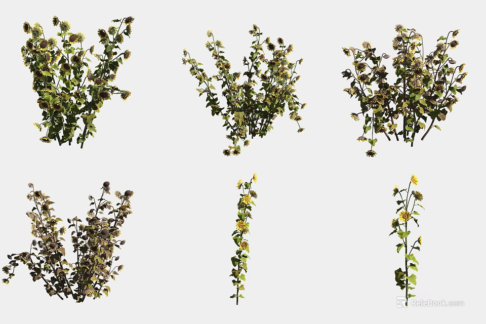 Diverse Flowering Plants With Green Leaves And Yellow Blossoms 3d model 