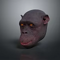 Realistic Chimpanzee Head 3D Model With Yellow Eyes And Dark Gray Surface