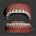 Oral Organs Detailed View Of Open Mouth With White Teeth Pink Tongue And Gums