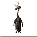 Organ and Hair Features of Humanoid in Robe with Spherical Organs and Tentacle like Hair
