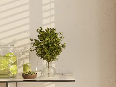 Refreshing Lemon Water in Glass Jar with Cup Small Plant on Light Table Blinds Shadows 3d model