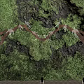 Natural Living Plant Wall With Moss Covered Surface And Decorative Branches