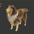 Brown and White Collie Dog with Long Hair Standing on Dark Background