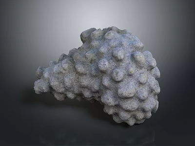 Natural Sponge Animal With Bumpy Surface And Small Dots On Gray Background 3d model