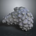 Natural Sponge Animal With Bumpy Surface And Small Dots On Gray Background 3d model