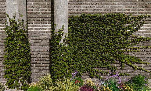 Modern Plant Wall Brocade Wall Plant Climbing Wall Plant Wall Greening Wall Greening 3d model