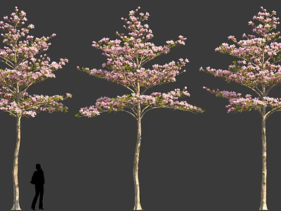 Multiple Shrubs With Pink Blossoms And Human Silhouette In Outdoor Scene 3d model