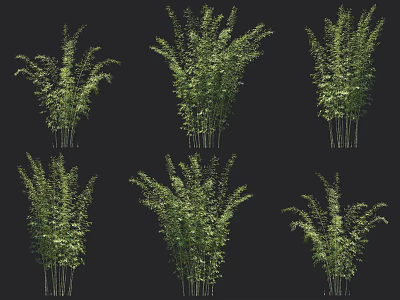Green Bamboo Plants In Various Shapes For Interior Decoration And Design 3d model