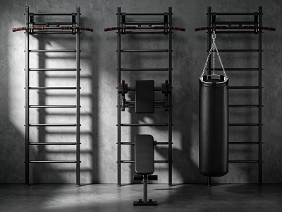 Black Wall Mounted Sporting Equipment With Climbing Ladders Exercise Bench And Punching Bag 3d model