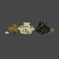 Various Animal Skulls Display With Labeled Letters For Educational Purpose