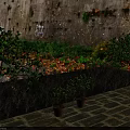 Lush Trees Bearing Green Leaves And Yellow Fruits Against Graffiti Stone Wall With Stone Pavement